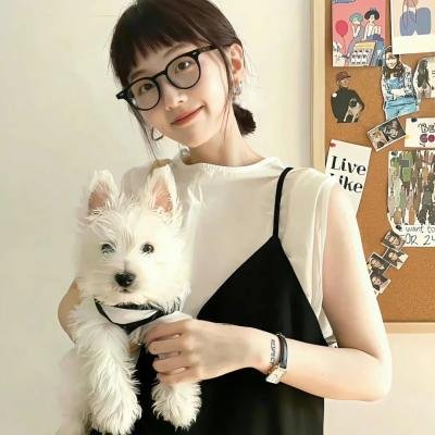 清潭时光 海报
